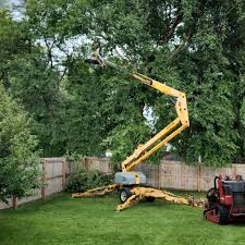 Best Commercial Tree Services  in Kearns, UT