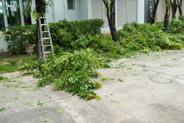 Best Lawn Mowing  in Kearns, UT